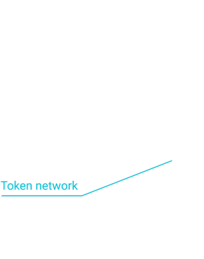 tokenn network